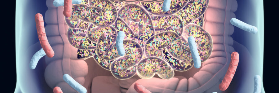Metagenómica y Enfermedad Intestinal