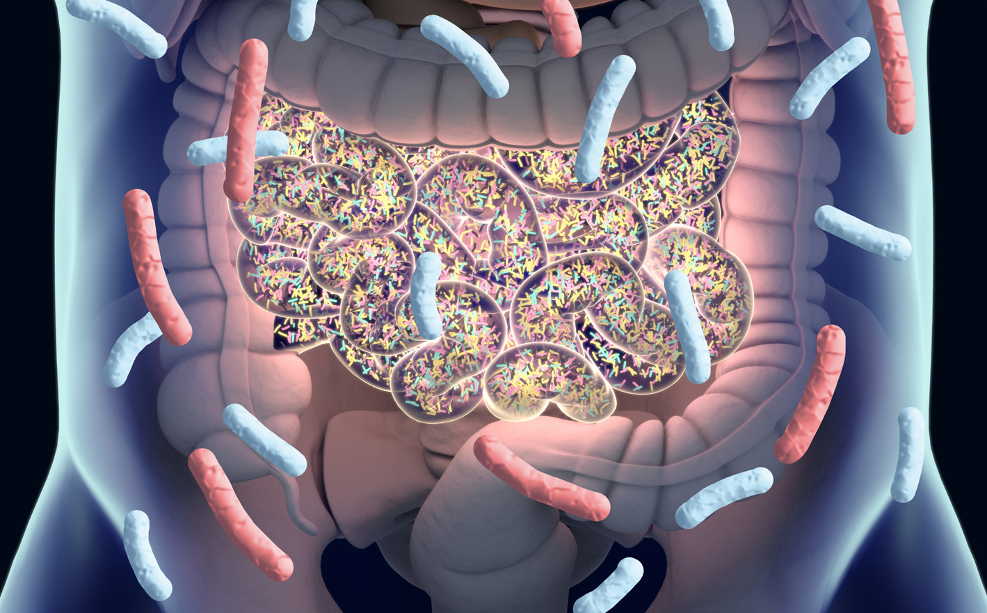 En este momento estás viendo Metagenómica y Enfermedad Intestinal