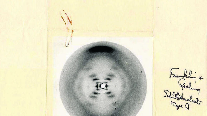 En este momento estás viendo Rosalind Franklin: Pionera en la Revelación del ADN