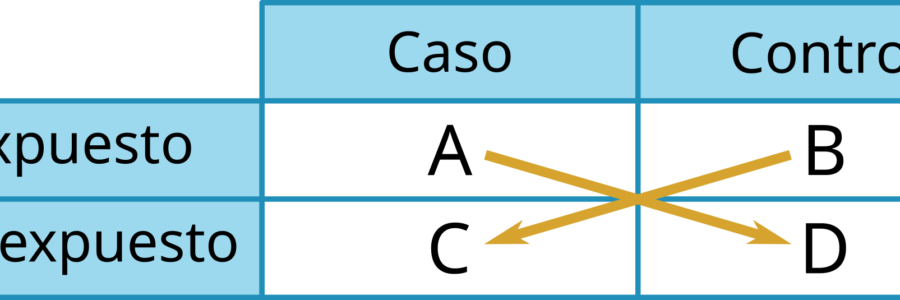 Odds Ratio: La clave para medir el impacto de tus variables
