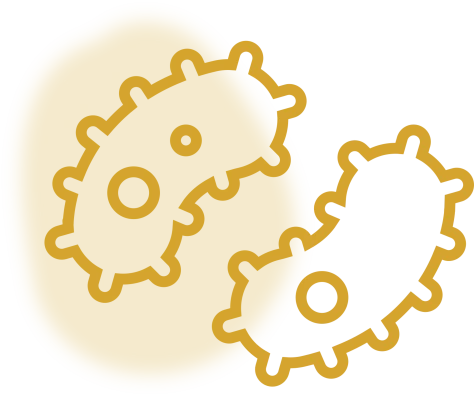 BioDatev Análisis metagenómico Proyectos de investigación