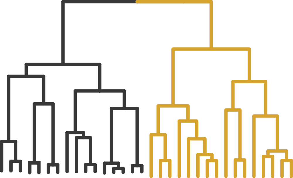 BioDatev análisis multivariante clasificación