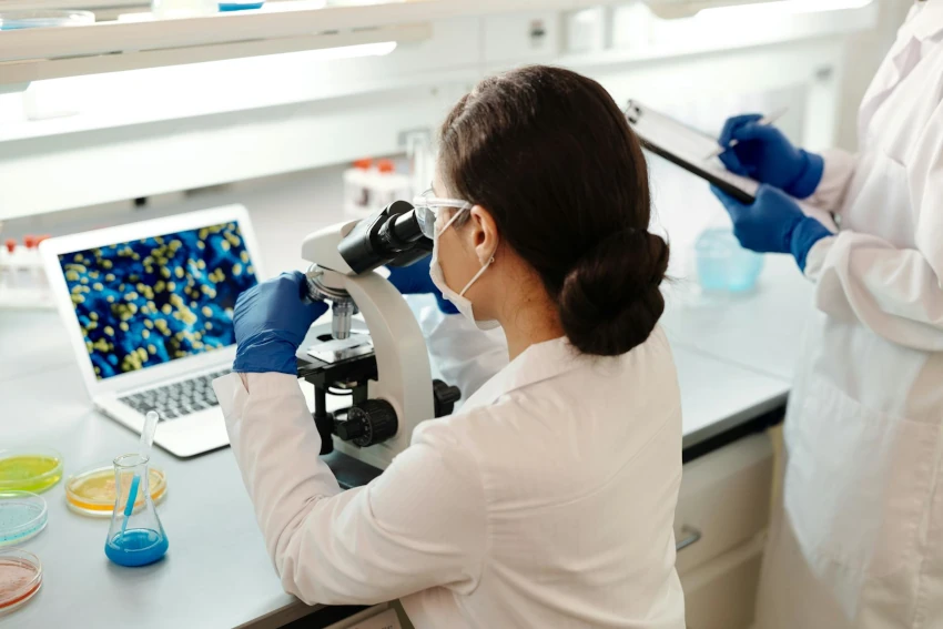 BioDatev proyectos de investigación bioinformática y bioestadística