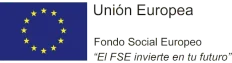 Fondo Social Europeo, Unión Europea